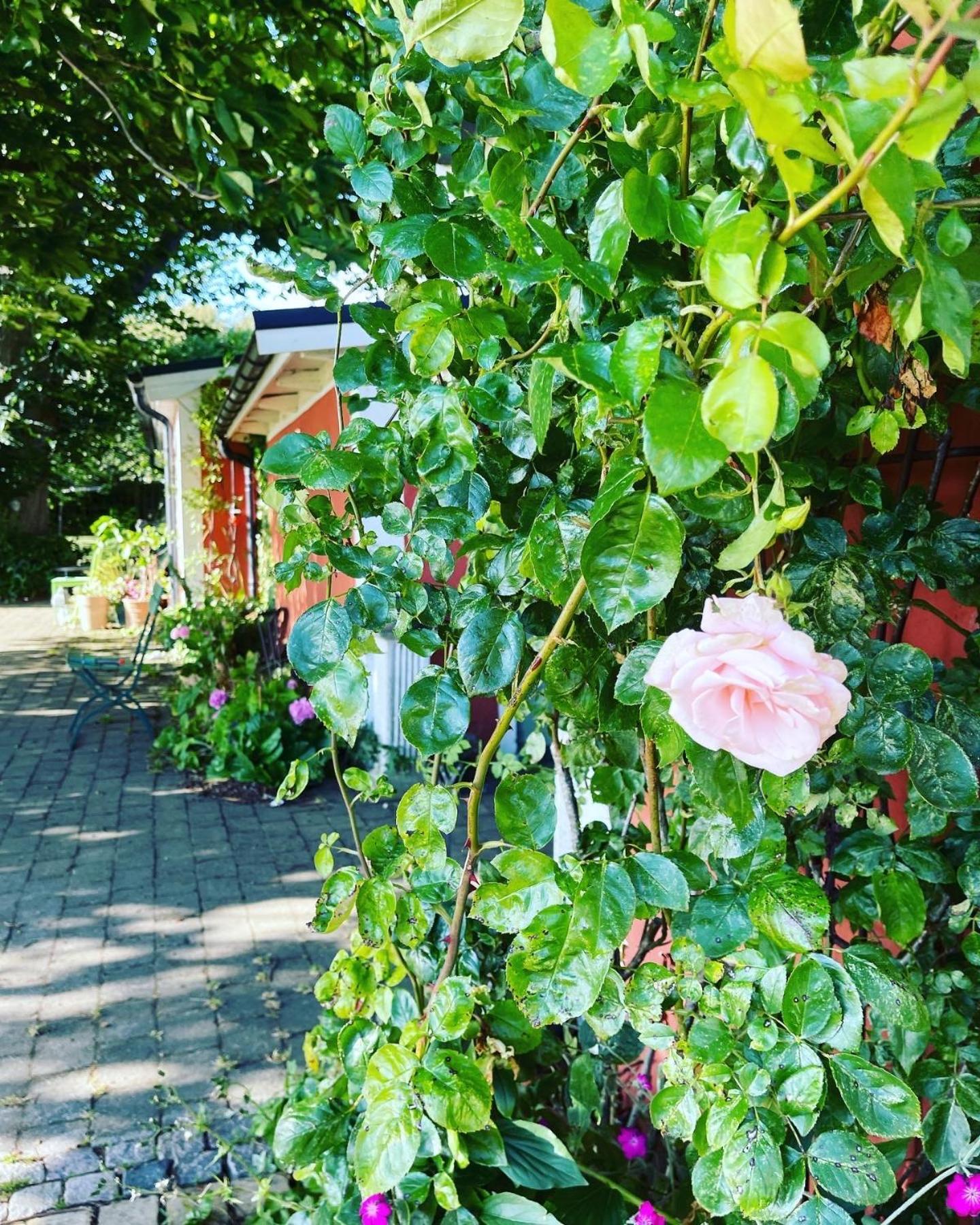 Östangård Bed&Breakfast Skillinge Exteriör bild