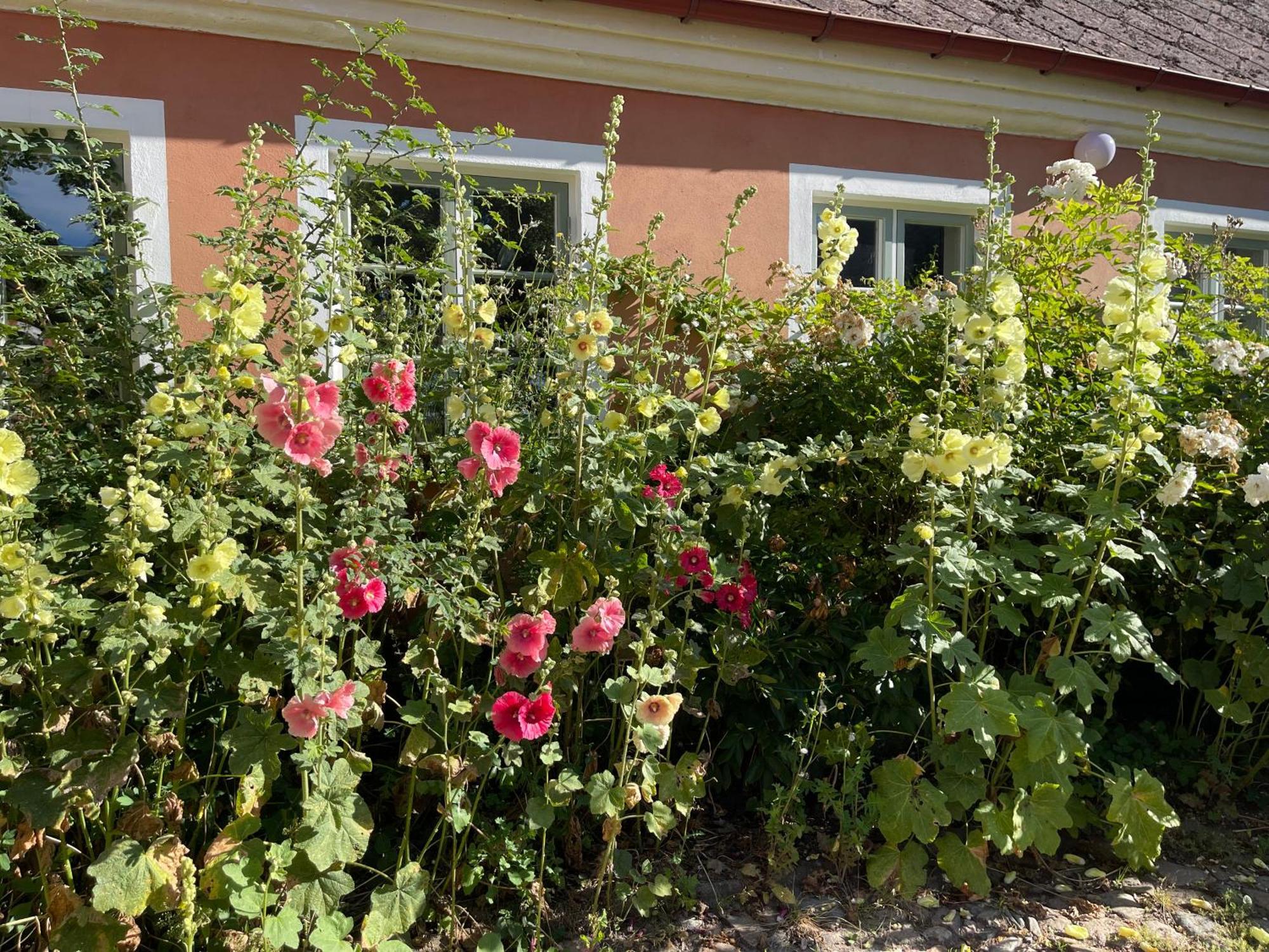 Östangård Bed&Breakfast Skillinge Exteriör bild
