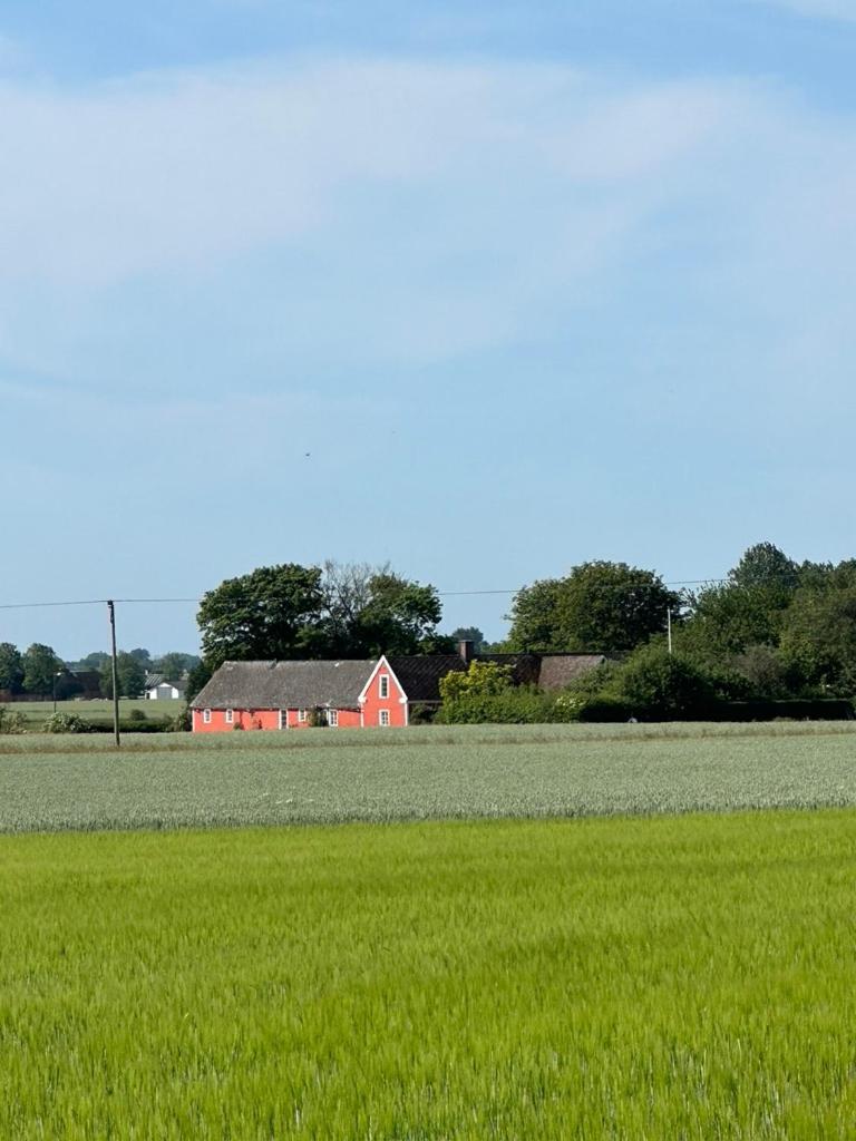 Östangård Bed&Breakfast Skillinge Exteriör bild